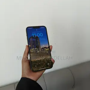 Apple iPhone 13 Pro Max 256 GB Gray