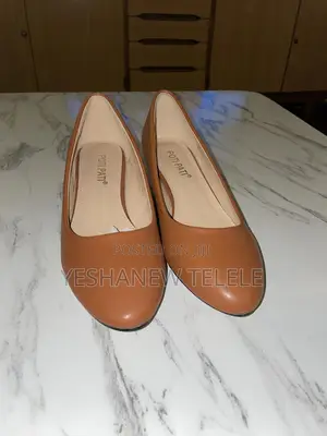 Photo - Original Brown Low Heel Pumps