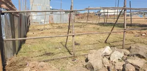 አራራት ጀርባ አከባቢ 150 ካሜ E ካርታው ያለው ፣አፈር ምርመራ ደብተር ያለው፣ በመልማት ላይ ያለ።