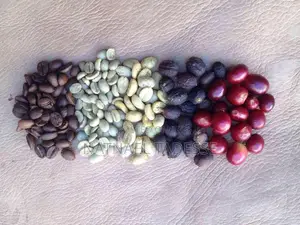 Coffee of Jimma የጅማ ቡና