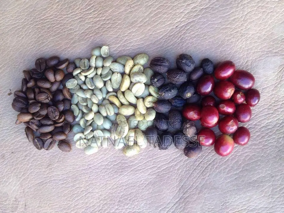 Coffee of Jimma የጅማ ቡና