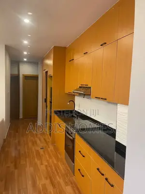 Furnished 2bdrm Apartment in Bole for sale