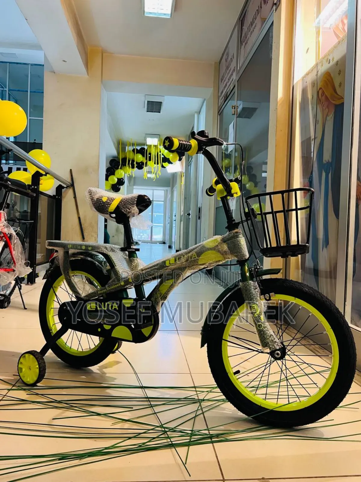 Luxury Bicycle and Scooter