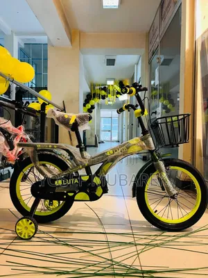 Luxury Bicycle and Scooter