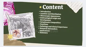 PPT for Your Assignment