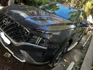 Hyundai Santa Fe 2023 Gray