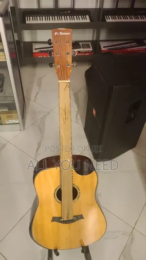 Photo - F Antonio Acostic Box Guitar