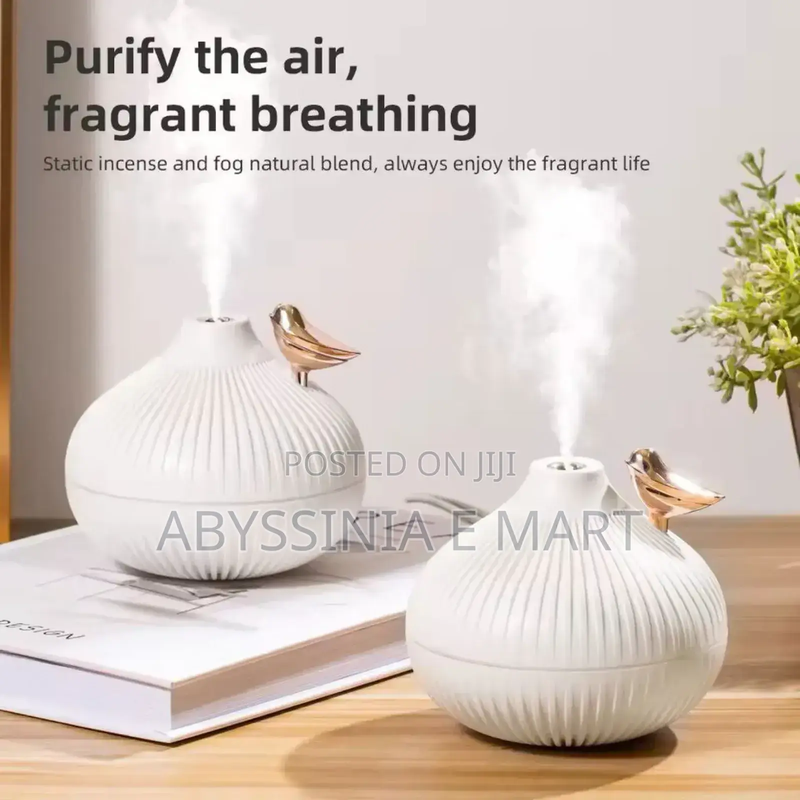 Onion Shape Humidifier
