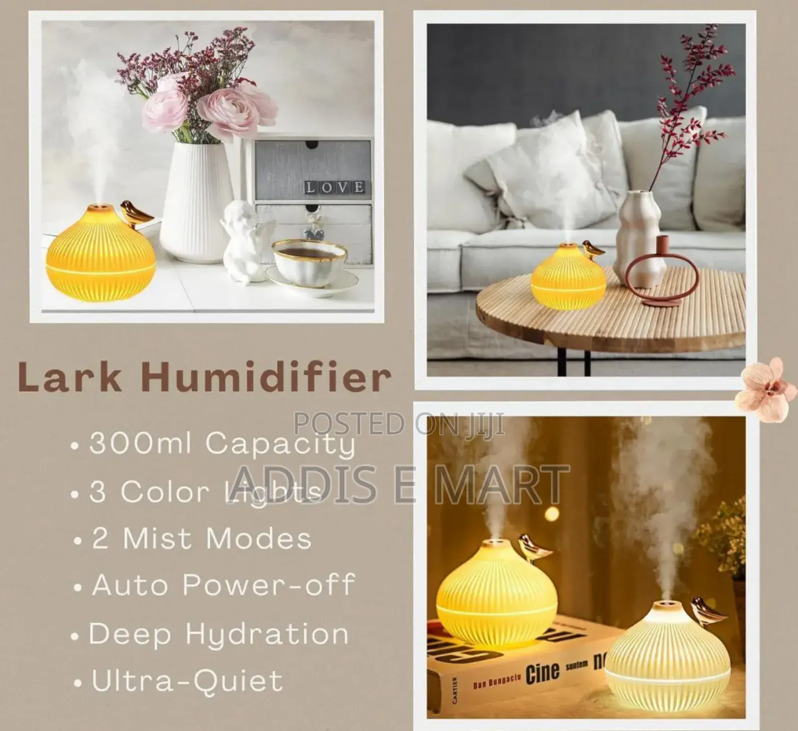 Onion Shape Humidifier