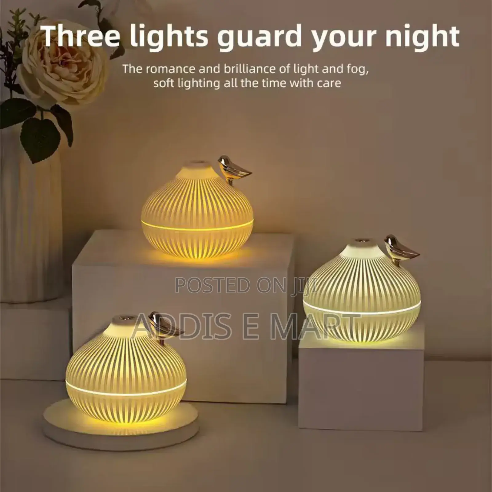 Onion Shape Humidifier