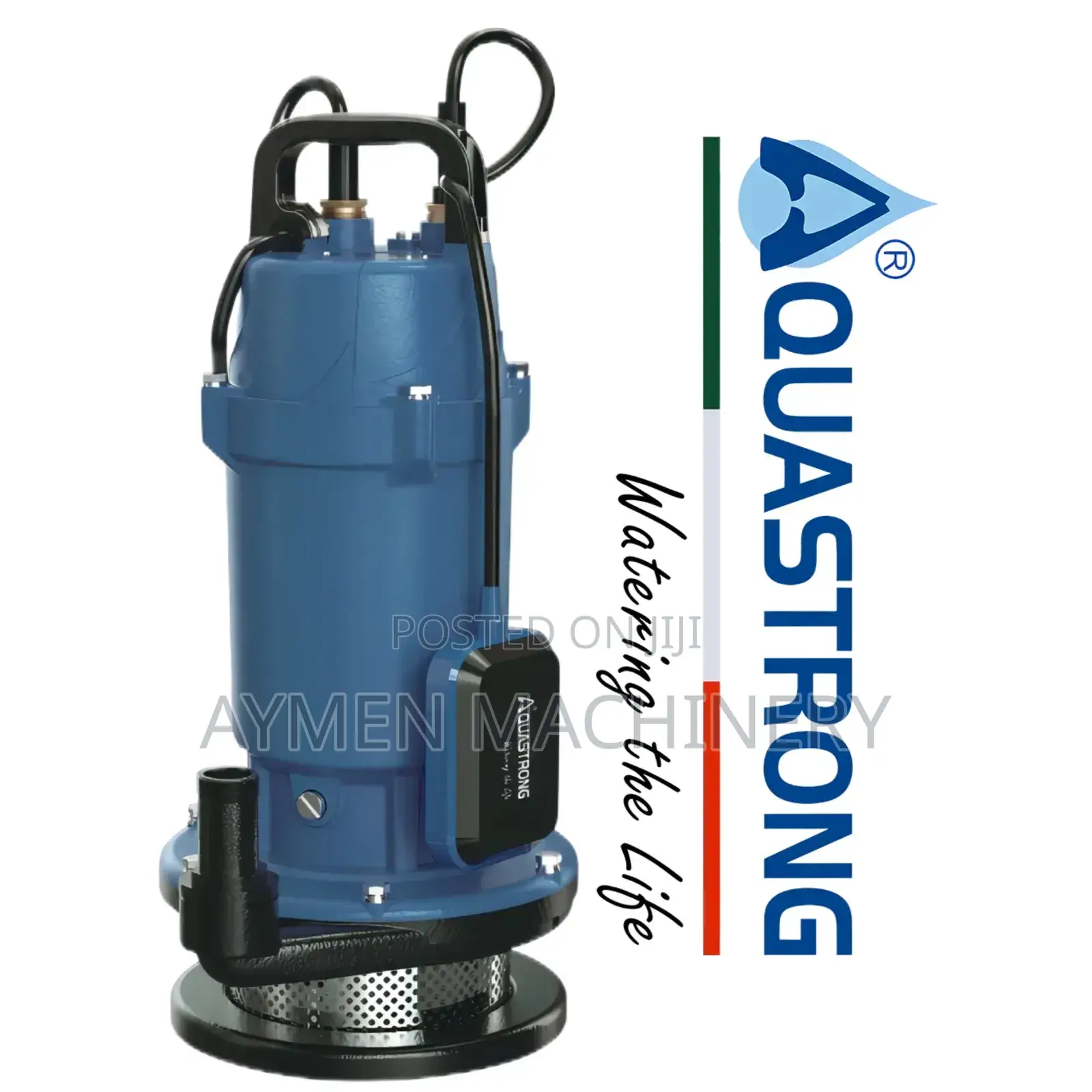 Aquastrong Submersible Pump 1hp Italy Standard 