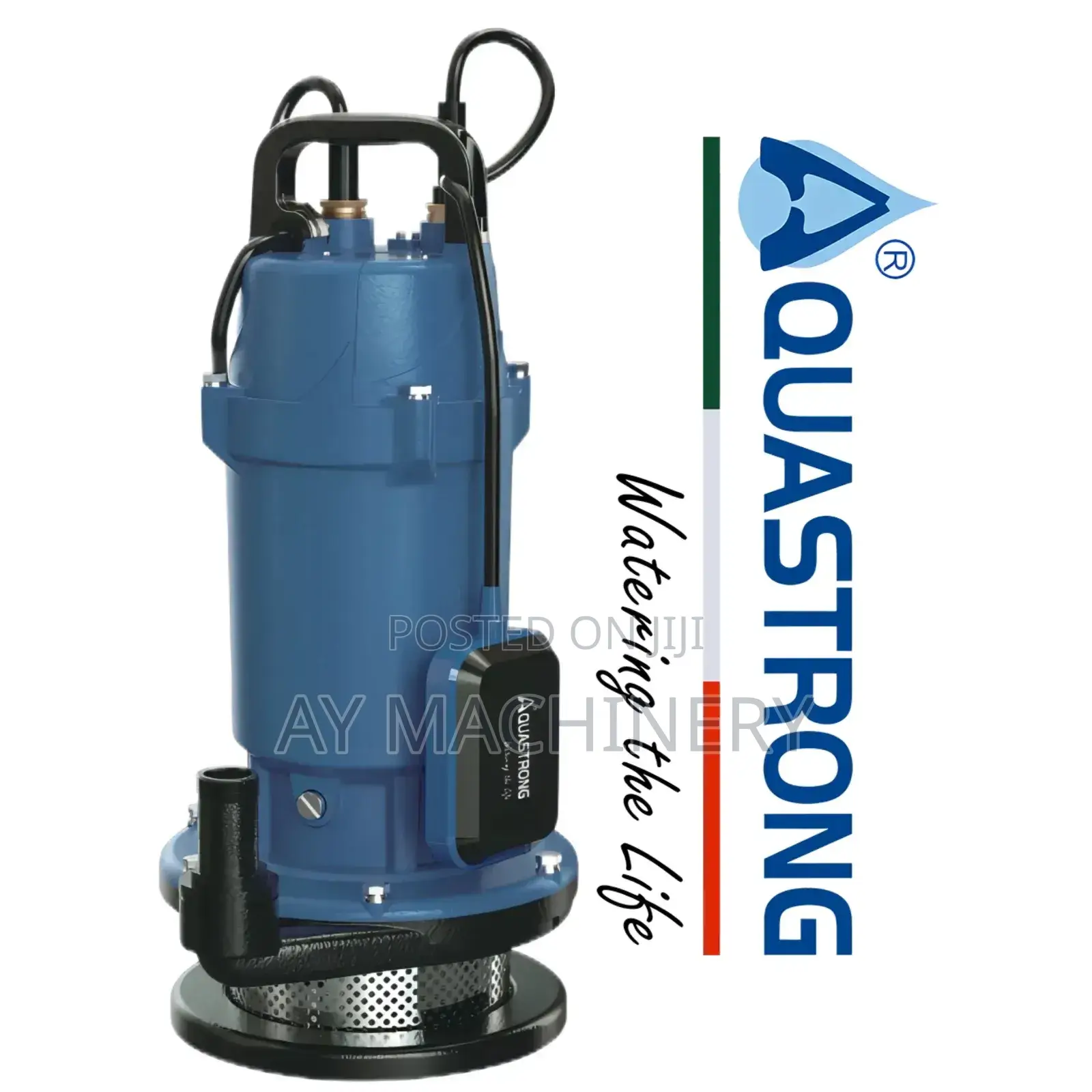 Aquastrong Submersible Pump 1hp Italy Standard