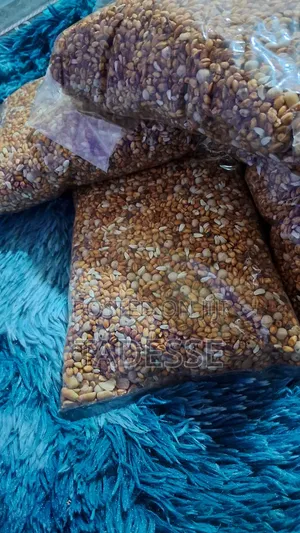 Shiro and Berbre ,Tgiray Honey,Kolo 