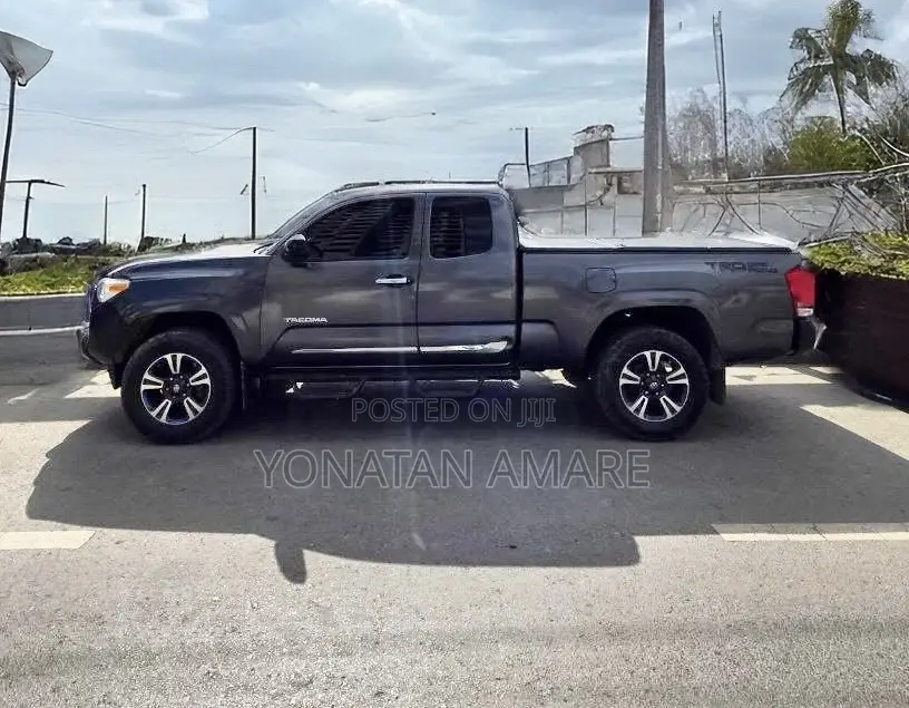 Toyota Tacoma 2020 Gray