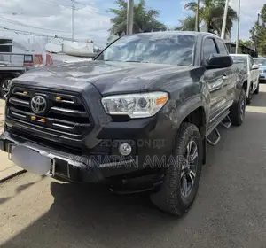 Toyota Tacoma 2020 Gray