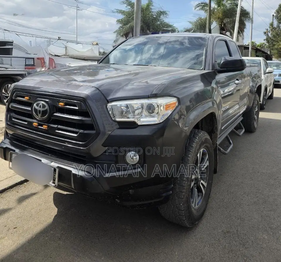 Toyota Tacoma 2020 Gray