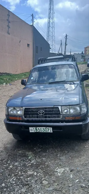 Toyota Land Cruiser 1991 Gray