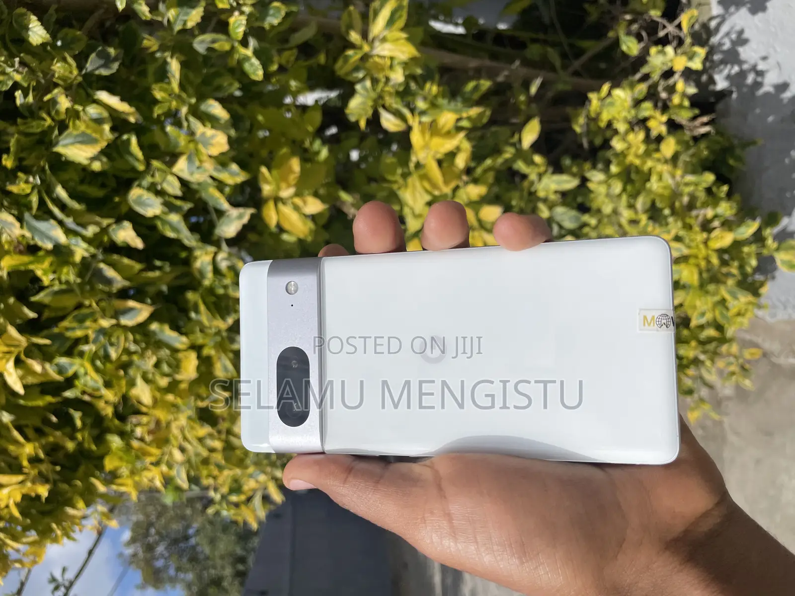 Google Pixel 7 128 GB White