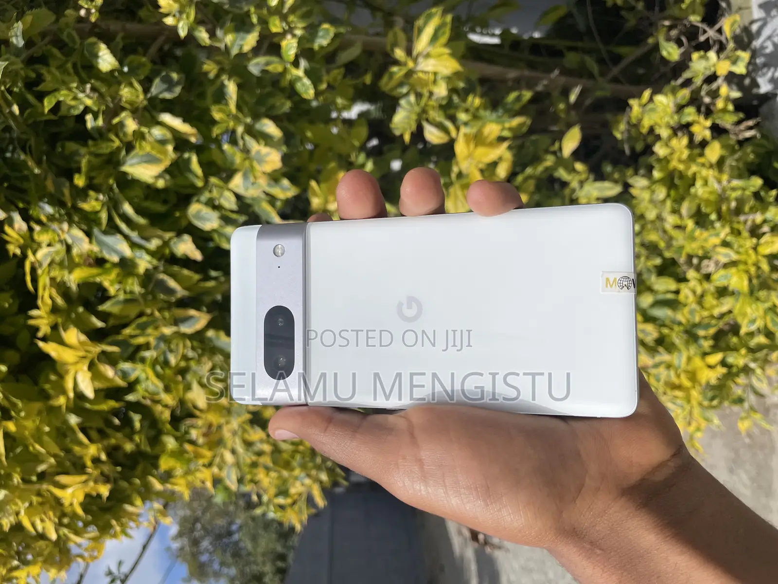 Google Pixel 7 128 GB White