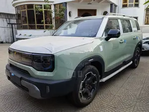 Photo - New BAIC BJ30e 2025 Blue