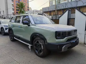 New BAIC BJ30e 2025 Blue