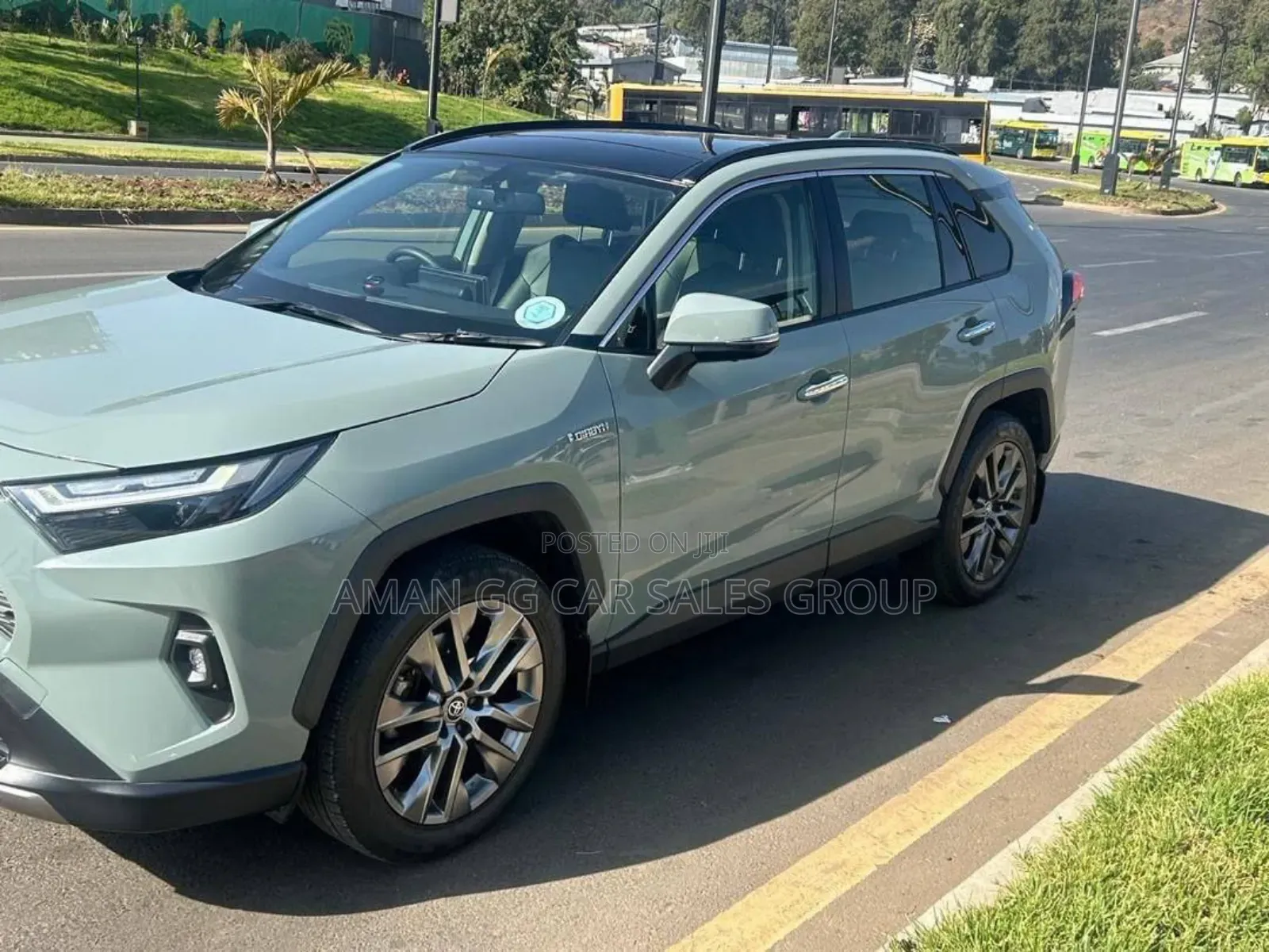 Toyota RAV4 2023 Green