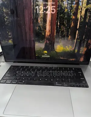 New Laptop Apple MacBook Pro M1 64GB Apple M1 Max SSD 256GB