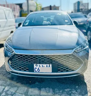 Photo - BYD Qin Plus DM-i 2024 Gray