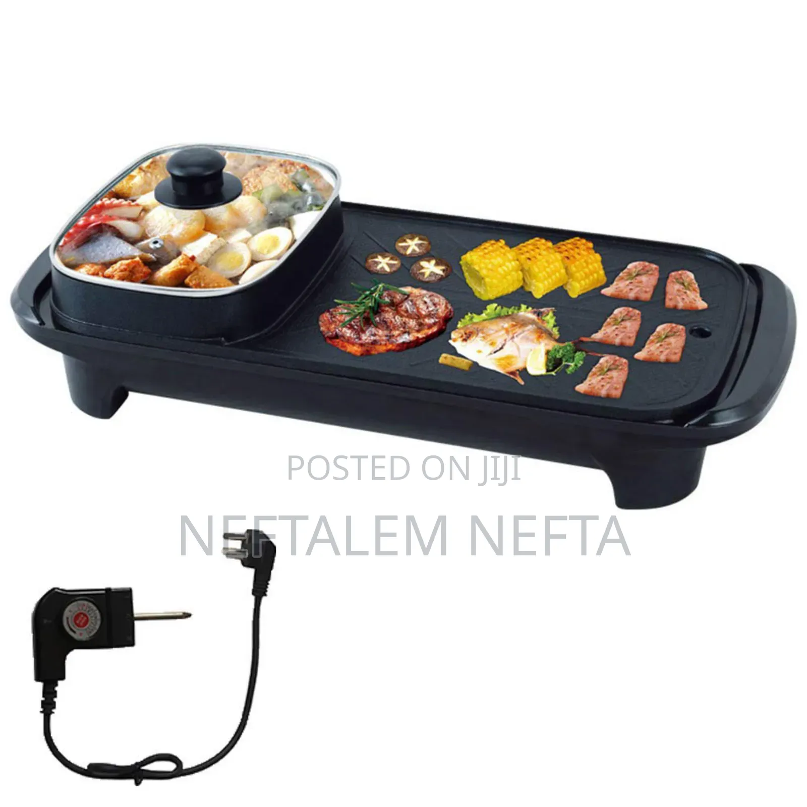 Electric Grill and Pot
