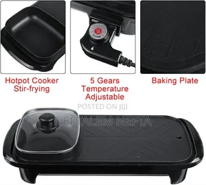 Electric Grill and Pot