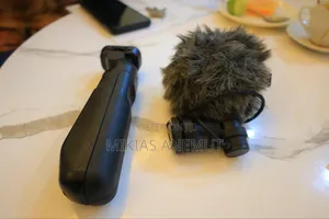 Photo - Camera Mic and Grip