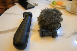 Camera Mic and Grip