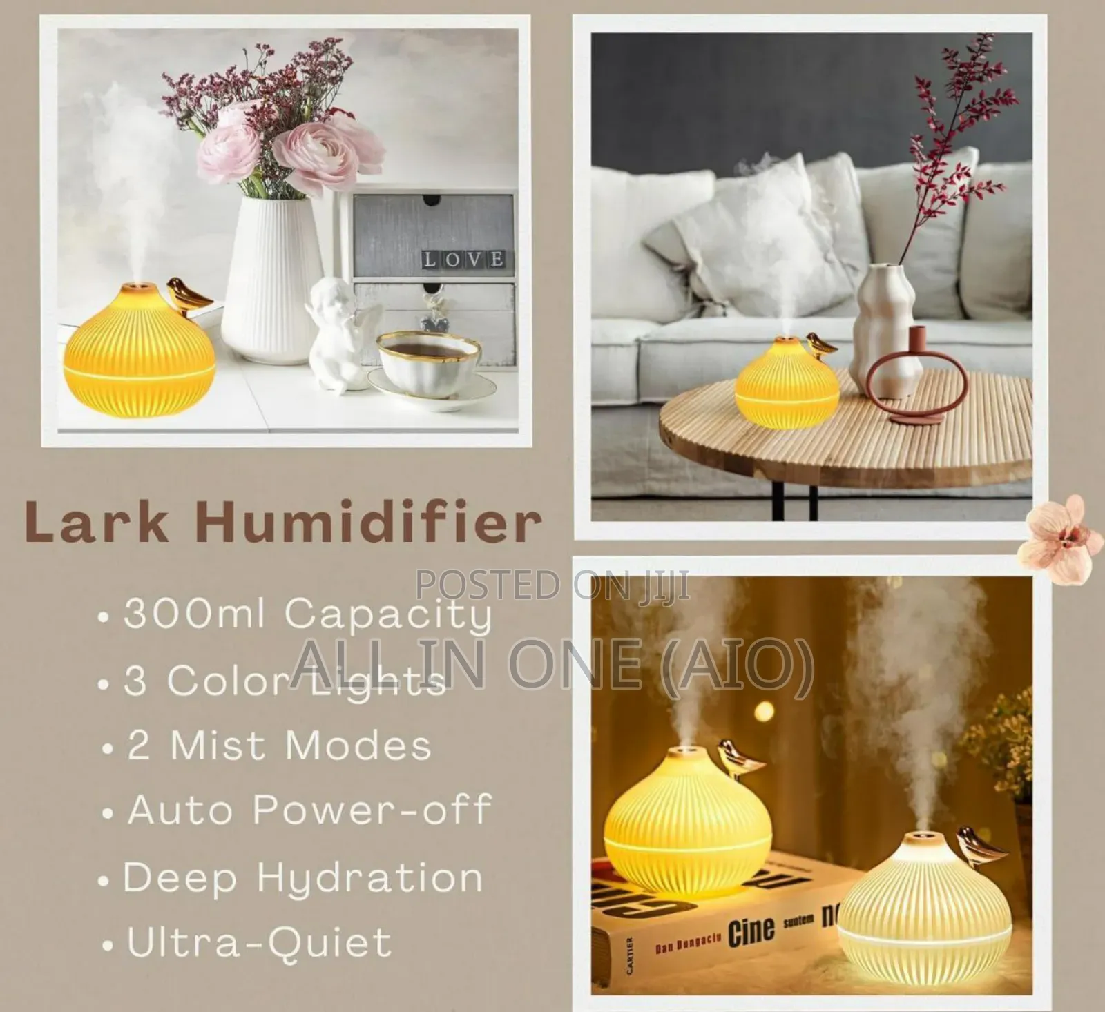 Onion Shape Humidifier
