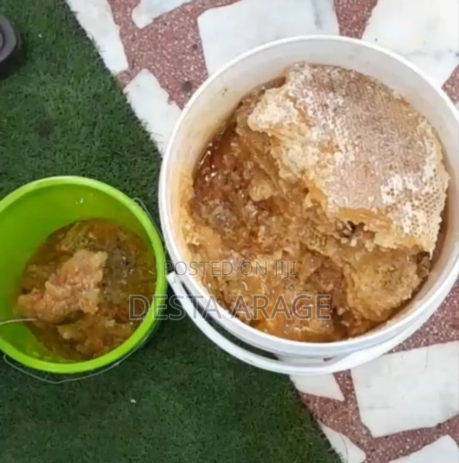 ጊዮን ኦርጋኒክ ፋርም