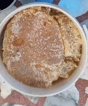 ጊዮን ኦርጋኒክ ፋርም