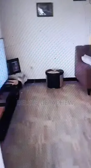 4bdrm Villa in Ayat Zone-6, Old, Bole for sale