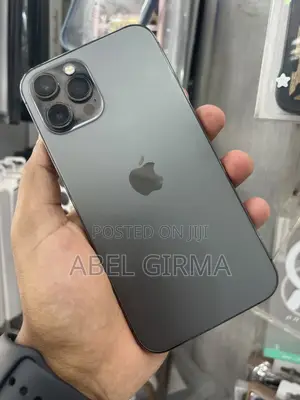 Photo - Apple iPhone 12 Pro Max 256 GB Gray