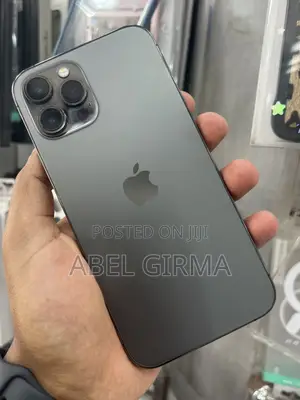 Apple iPhone 12 Pro Max 256 GB Gray