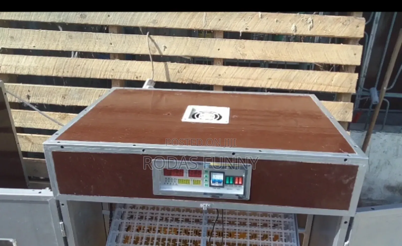 የጫጩት ማስፈልፈያ