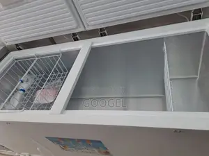 Chest Frzeers 800"2 Door