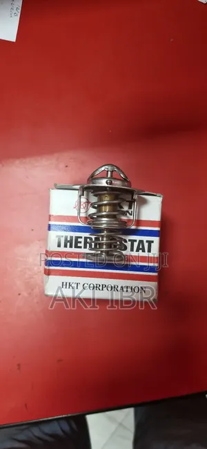 Photo - Thermostat Yaris 3 Piston