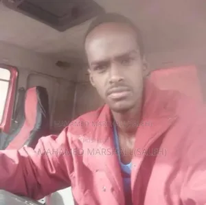 Photo - Heavy Truck Driver