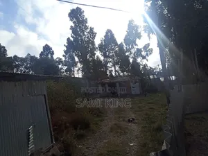 Photo - Land for Sale in Bole Bulbula Refnti