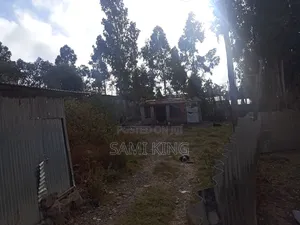 Land for Sale in Bole Bulbula Refnti