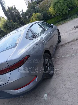 New BYD Qin L DM-i 2025 Gray