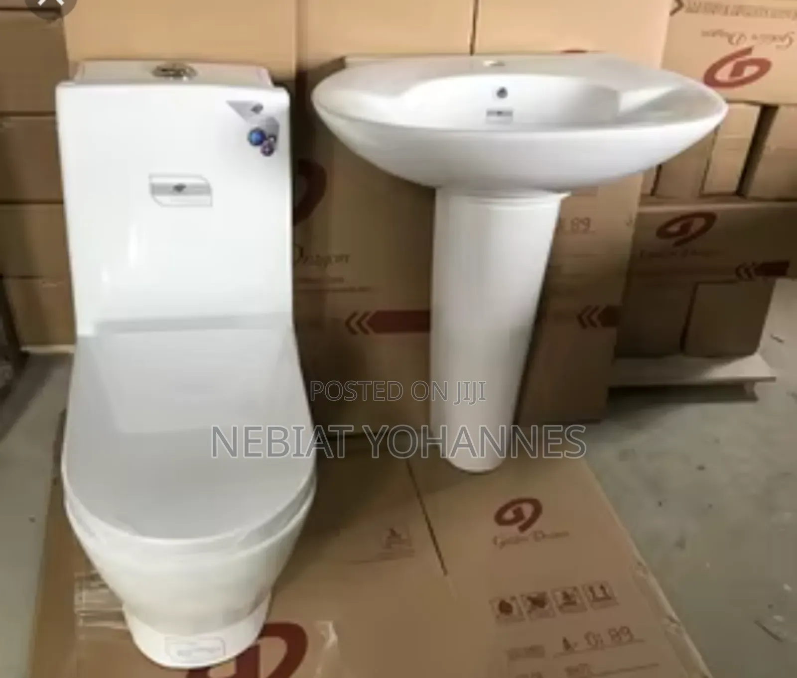 Gold Dragon Hand Wash and Toilet Sit