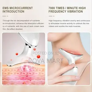 Electric Face Massager