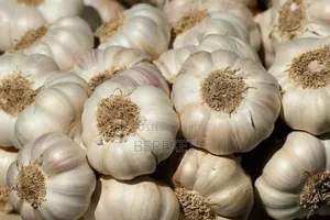Garlic (White Onion