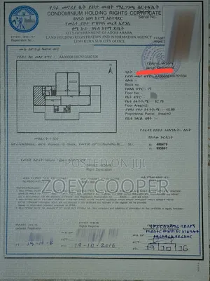 2bdrm Condo in Hayat Tsebel, Yeka for sale