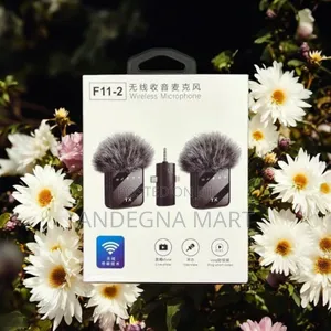 Photo - F11-2 Wireless Microphone: Don't Record Without It